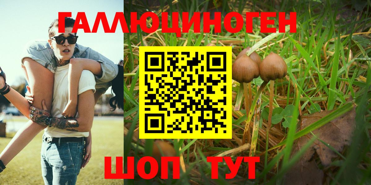 Галлюциногенные грибы Psilocybine cubensis  Семилуки 